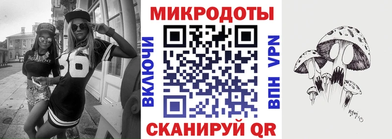 Галлюциногенные грибы Psilocybe  Владикавказ 