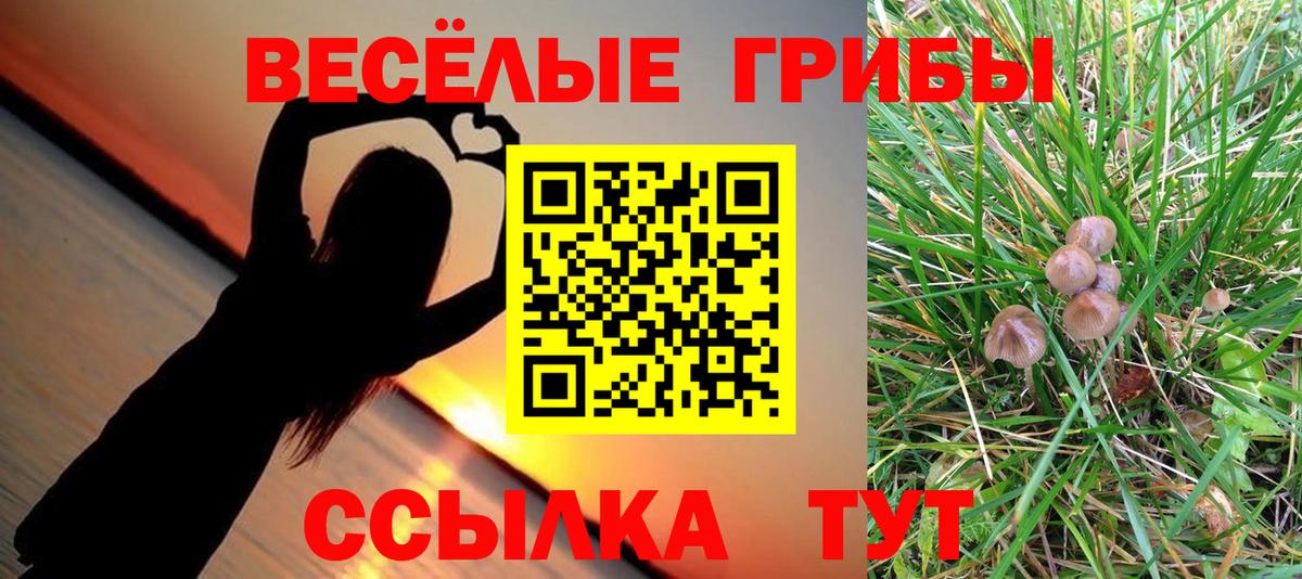 Псилоцибиновые грибы ЛСД  Вход с VPN  Владикавказ 