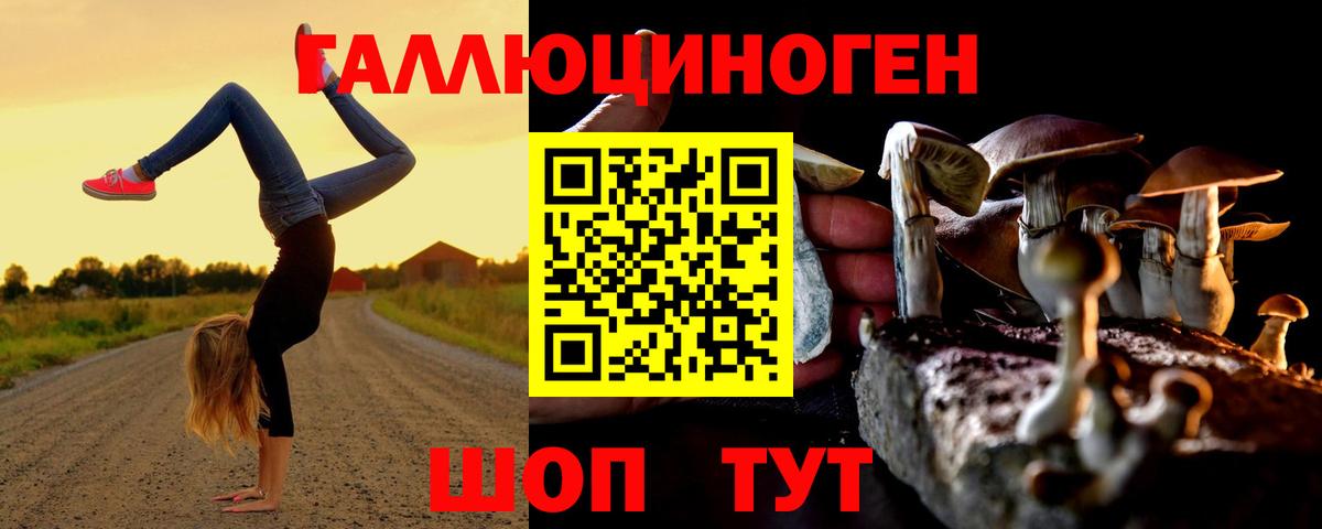 Псилоцибиновые грибы ЛСД Владикавказ
